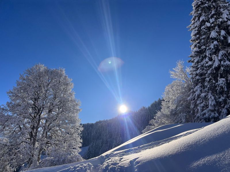 Schneeschuhtour auf den Schönberg (FL)